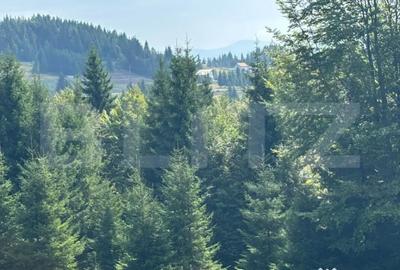 Teren de 20000 mp, în Central - 6