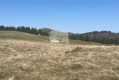 Terenuri cu PUZ si apa suprafete intre 570 mp 2025 mp in Paltinis- Sibiu - 5