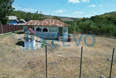 Casă cu 2 camere cu Teren 1425 Mp în Parincea - 10