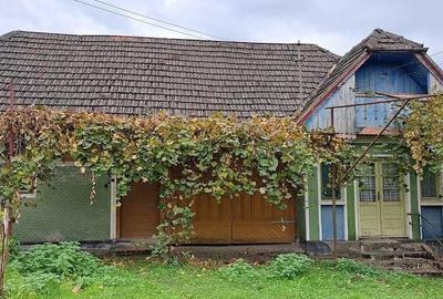 Casă în Ocoliș - 7