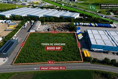 Teren Construcții intravilan de 8000 mp, în Borș - 1