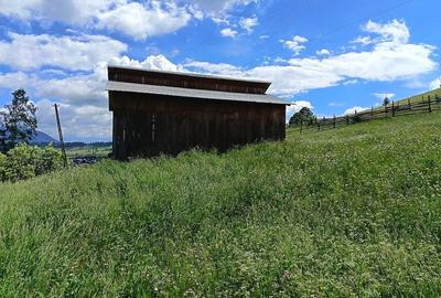 Teren de 5285 mp, în Poiana Stampei - 2
