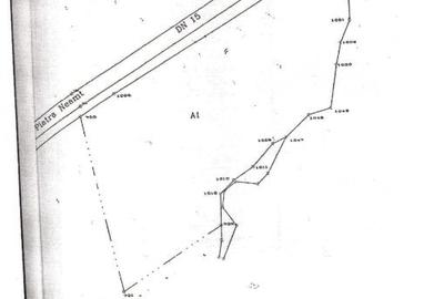 Teren Construcții intravilan de 12200 mp, în Calea Romanului - 1