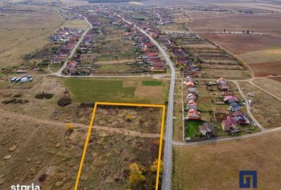 Teren de 19000 mp, în Pișchia - 1