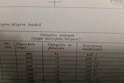 Teren de 6669 mp, în Central