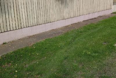 Casă cu 3 camere cu Teren 1877 Mp în Movila - 3