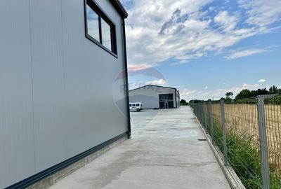 Hala noua 500mp Brailei Mandresti - 4