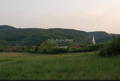 Casă cu 2 camere cu Teren 609 Mp în Uileacu de Beiuș - 5