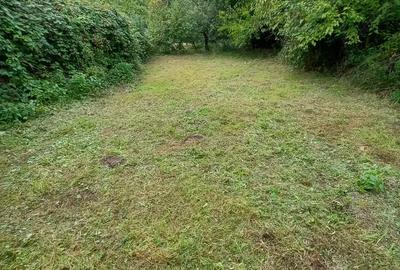 De vanzare casa batraneasca cu teren generos in Poiana Golului Re?i?a De vanzare casa batraneasca cu teren generos in Poiana Golului Re?i?a - 1