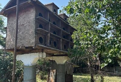 Casă de vânzare, teren 1400mp | Măldăeni, Teleorman - 6