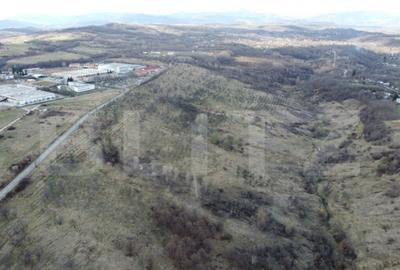 Teren de 11931 mp, în Vălenii de Munte - 4