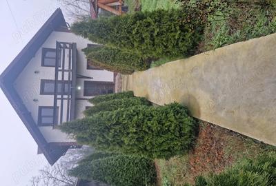 Casă cu 5 camere în Scorțaru Vechi - 3