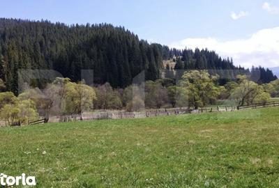 Teren de 1299 mp, în Central