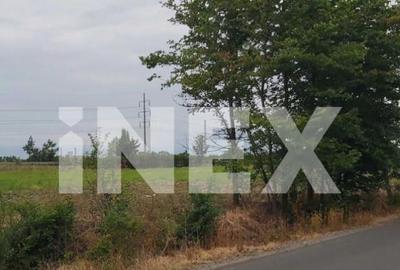 Teren intravilan 4.800 mp langa Autostrada Pite?ti - - 2