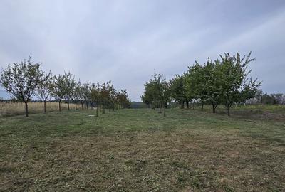 Spațiu comercial, în Central - 5