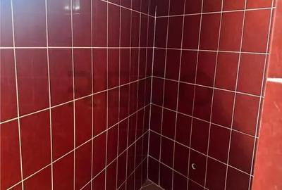 Casă cu 3 camere cu Teren 415 Mp în Beiuș - 6