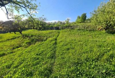 Teren intravilan de vanzare - 1