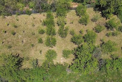 Casă cu 3 camere cu Teren 4381 Mp în Poduri - 6