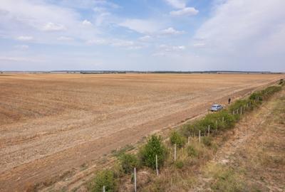 FRUMUSANI - PASAREA, TEREN 14420 MP, FRONT 40 M! - 16