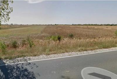 Teren 7400 mp Corbii Mari 1.5 km A1 Intravilan + Extravilan PROPRIETAR - 1