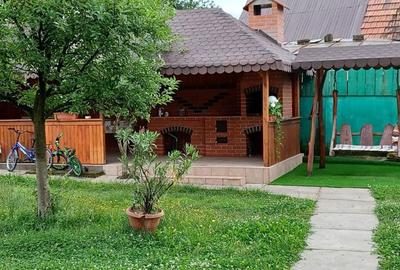 Casă cu 2 camere în Cârțișoara - 2