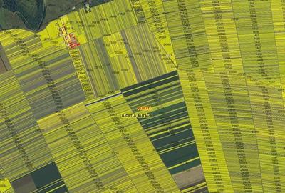 Teren agricol Puiesti ID: R2116028 - 6