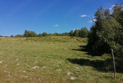 Teren de 20000 mp, în Ciucea - 1