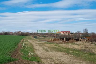 Teren Construcții intravilan de 10000 mp, în Săftica - 10
