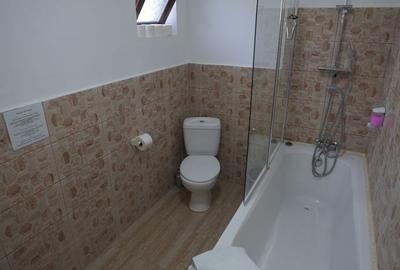 Casă cu 4 camere cu Teren 1000 Mp în Crișan - 10