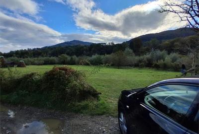 Teren intravilan 6000 mp, Pangarati, cu iesire la raul Bistrita - 6