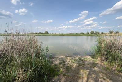 Teren Berceni La Lacuri | Oportunitate Investitie | - 2