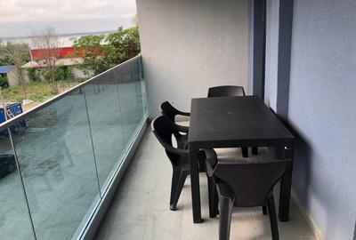 Inchiriere Apartament bulevardul Mamaia vedere lac - 13