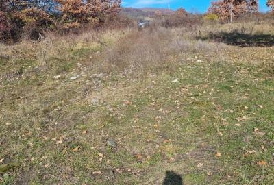 Spațiu comercial, în Petru Rareș - 8