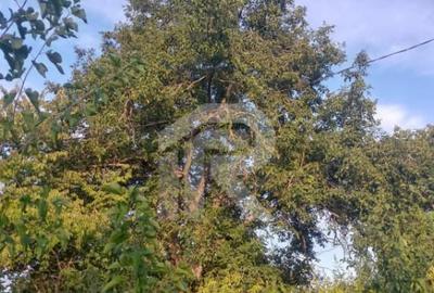 Casă cu 2 camere cu Teren 670 Mp în Lipia - 2