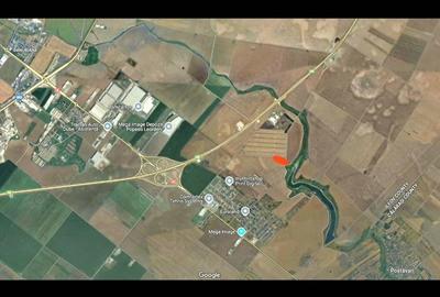 Teren de 7500 mp, în Frumușani - 1