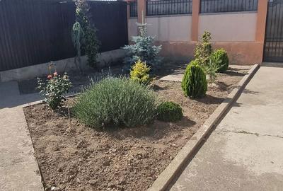 Casă cu 3 camere în Lumina - 8