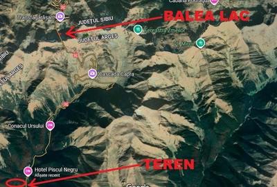 TEREN EXTRAVILAN PADURE PISCUL NEGRU ARGES - 7