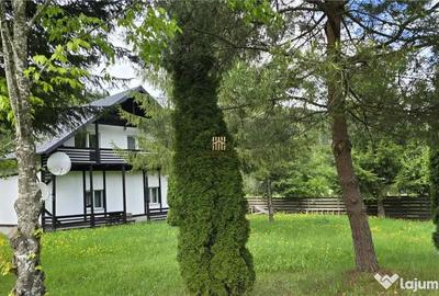 Casă cu 7 camere cu Teren 2000 Mp în Mălini - 7