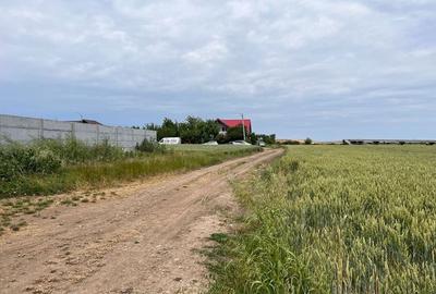 Spațiu comercial, în Dimieni - 3