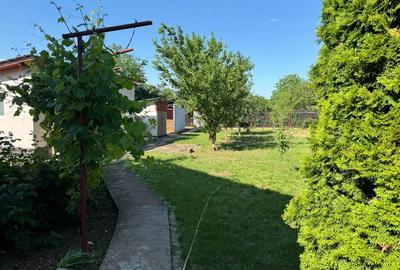 Casă cu 3 camere cu Teren 1250 Mp în Prunaru - 5