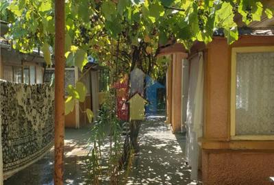 Casa 5 camere, teren 368 mp, deschidere 13 m, Brailita - 2