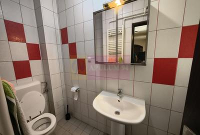 Casă individuală cu 4 camere cu Canalizare în Antiaeriană - 13