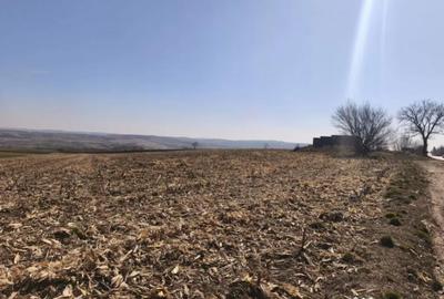 Teren în Grănicești - 2