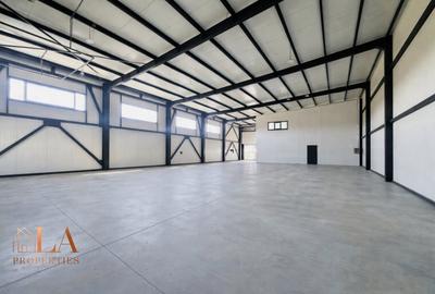 Spațiu industrial, de 540 mp, în Domnești - 11
