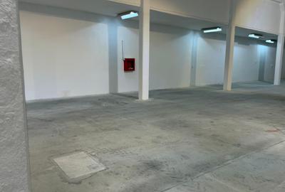 Spațiu industrial, de 1,100 mp, în Basarabia - 2