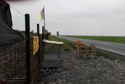 Teren de 5000 mp, în Central - 2