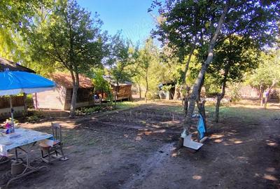 Vand casa, Perisor, Dolj - 6