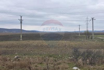 Teren de 41025 mp, în Periferie - 7