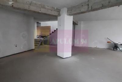 Inchiriere casa/vila noua individuala zona Mihai Bravu, aproape metrou - 8