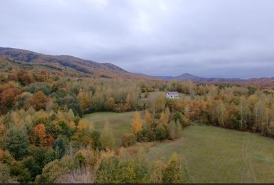 Teren ideal recreere/conectare cu natura/zona Fagaras/achitare in rate - 5